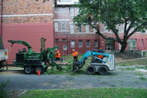 Turn unwanted tree waste into fine forrest mulch product