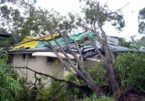 Storm damage