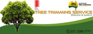 Procedures of Tree Trimming Service